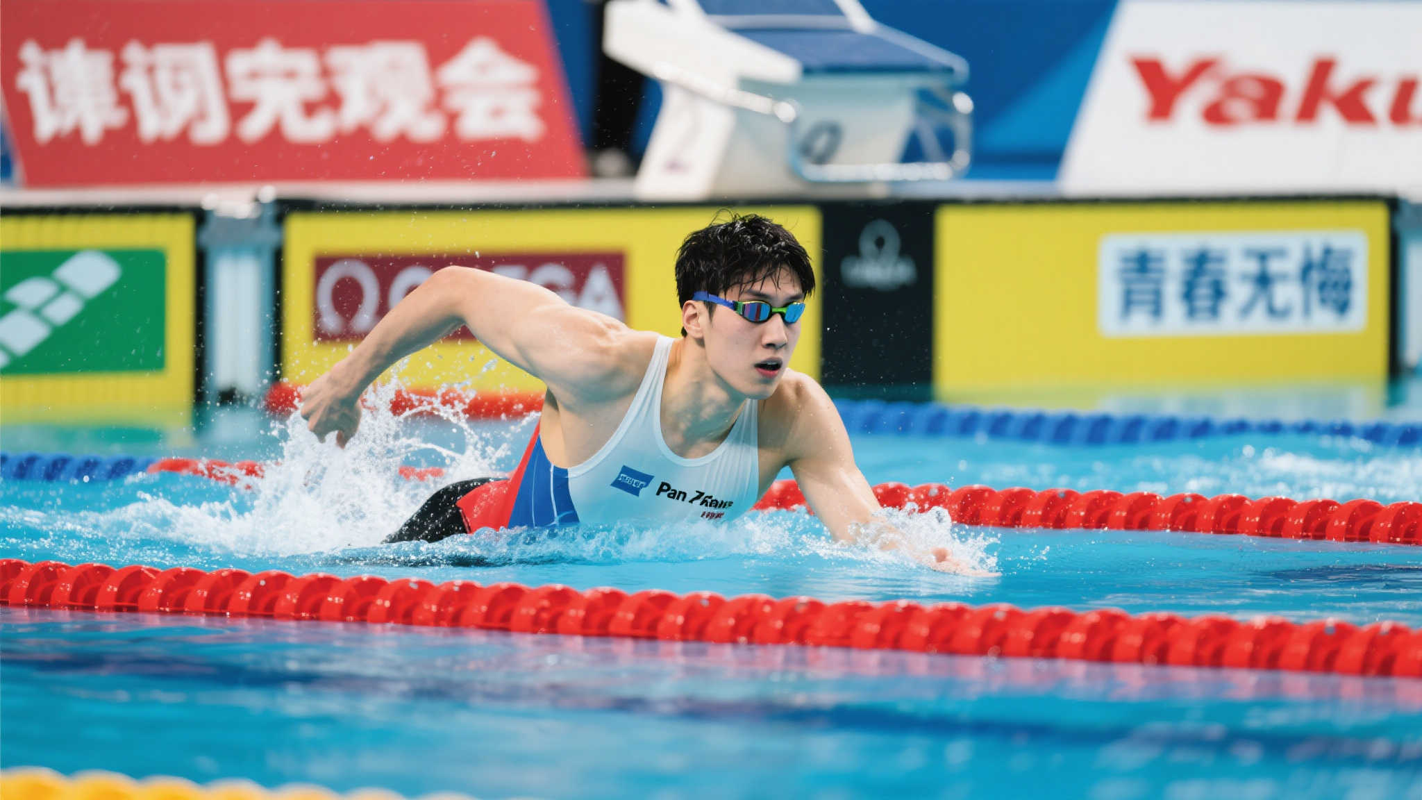 潘展乐的惊艳表现让人叹服！